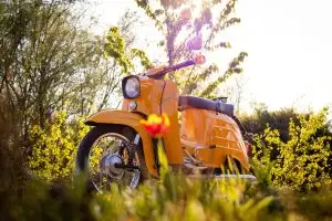Simson Schwalbe