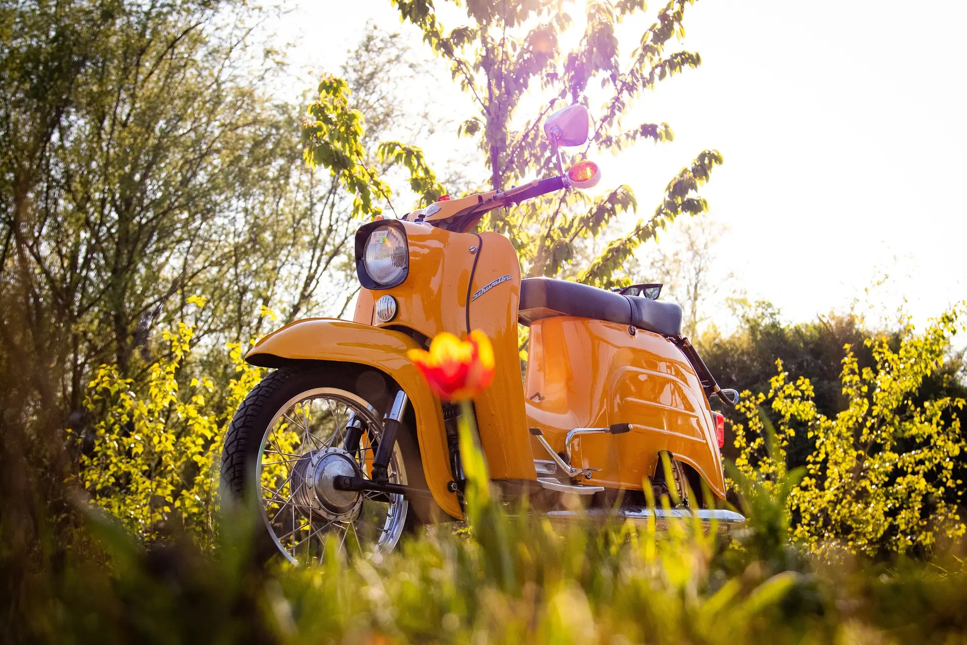 Simson Schwalbe